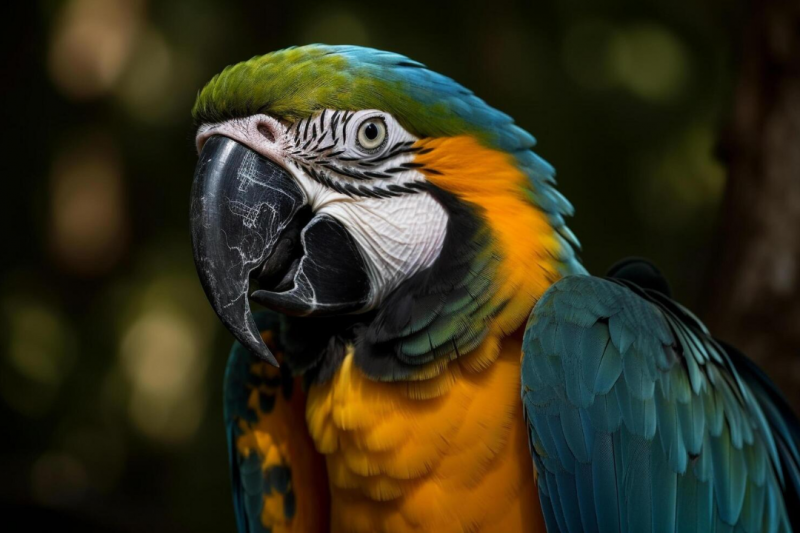 Como Escolher o Veterinário Ideal para Animais Exóticos Como Escolher o Veterinário Ideal para Animais Exóticos