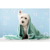 banho e tosa para cães marcar Sabará