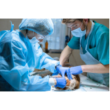 clínica que faz cirurgia em animais de pequeno porte SALGADO FILHO