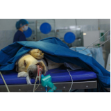 clínica que faz endoscopia canina São José da Varginha