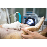 clínica que faz ultrassom abdominal em cães ALIPIO DE MELO