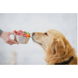 contato de nutricionista para cachorros CALIFONIA