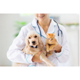 gastroenterologista veterinário agendar Nova União