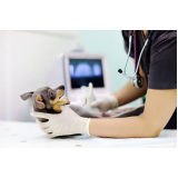 laboratório clínico veterinário para diagnóstico telefone Itaguara