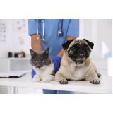 laboratório de análises veterinárias contato PRADO