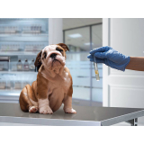 laboratório veterinário de analises clinicas BURITIS