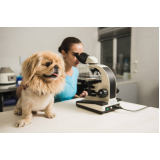 laboratório veterinário para exames clínicos SANTO AUGOSTINHO