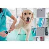 laboratório veterinário para exames telefone APARECIDA