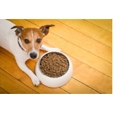 nutricionista cães contato Inhaúma