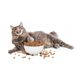 nutricionista gatos MANGABEIRAS