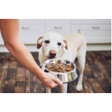 nutricionista para cachorros contato BETANIA