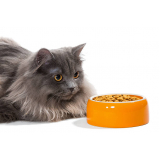 nutricionista para gatos contato FLORESTA