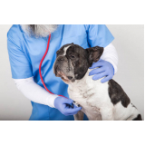 onde agendar consulta ao veterinário FUNCIONARIOS