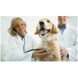 onde agendar consulta medico veterinario Nova União